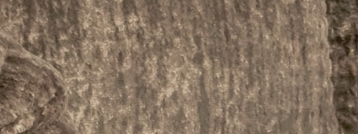 259 94 17